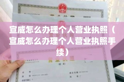 宣威怎么办理个人营业执照（宣威怎么办理个人营业执照手续）