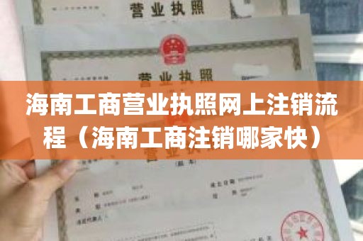 海南工商营业执照网上注销流程（海南工商注销哪家快）