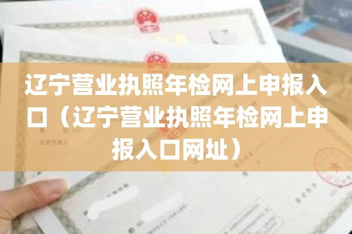 辽宁营业执照年检网上申报入口（辽宁营业执照年检网上申报入口网址）