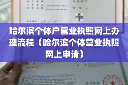 哈尔滨个体户营业执照网上办理流程（哈尔滨个体营业执照网上申请）