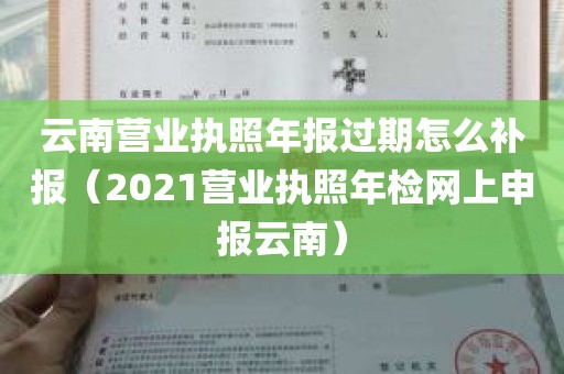 云南营业执照年报过期怎么补报（2021营业执照年检网上申报云南）