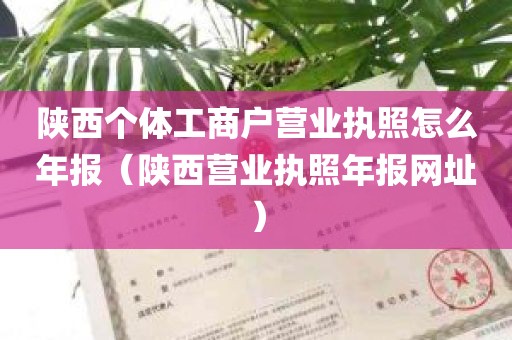 陕西个体工商户营业执照怎么年报（陕西营业执照年报网址）