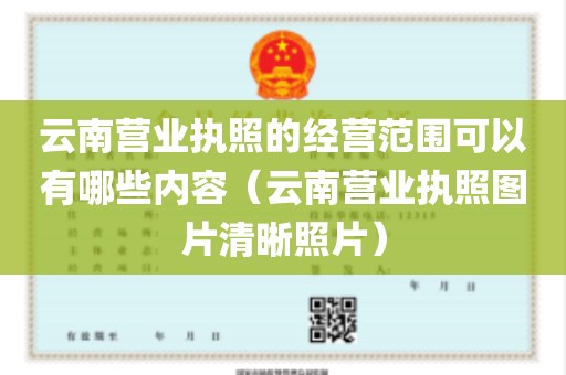 云南营业执照的经营范围可以有哪些内容（云南营业执照图片清晰照片）