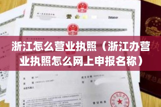 浙江怎么营业执照（浙江办营业执照怎么网上申报名称）