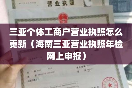 三亚个体工商户营业执照怎么更新（海南三亚营业执照年检网上申报）