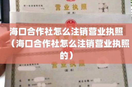 海口合作社怎么注销营业执照（海口合作社怎么注销营业执照的）