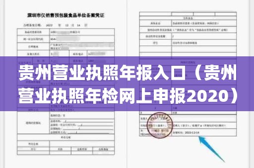 贵州营业执照年报入口（贵州营业执照年检网上申报2020）