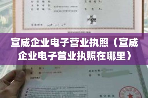 宣威企业电子营业执照（宣威企业电子营业执照在哪里）