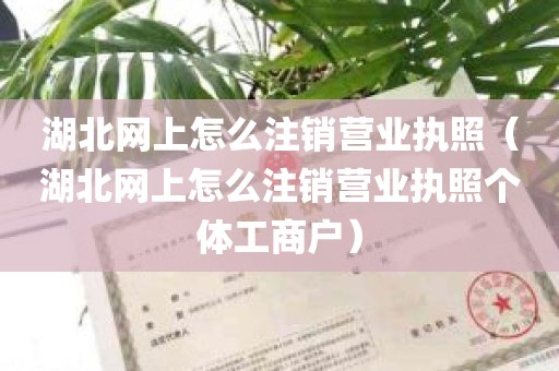 湖北网上怎么注销营业执照（湖北网上怎么注销营业执照个体工商户）