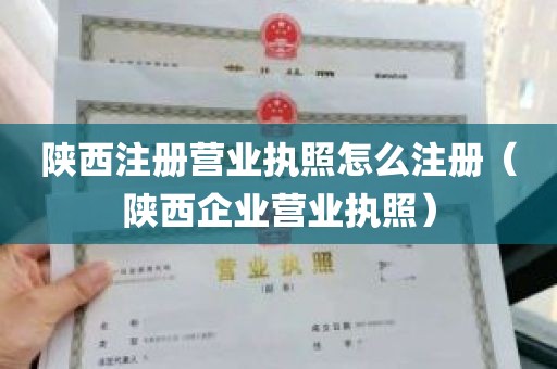 陕西注册营业执照怎么注册（陕西企业营业执照）