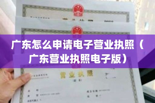 广东怎么申请电子营业执照（广东营业执照电子版）