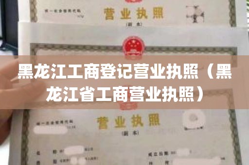 黑龙江工商登记营业执照（黑龙江省工商营业执照）