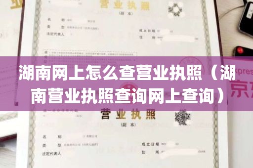 湖南网上怎么查营业执照（湖南营业执照查询网上查询）