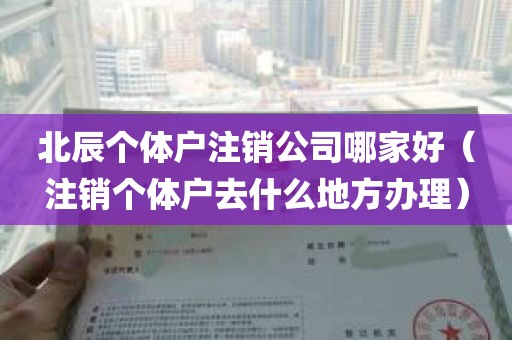 北辰个体户注销公司哪家好（注销个体户去什么地方办理）