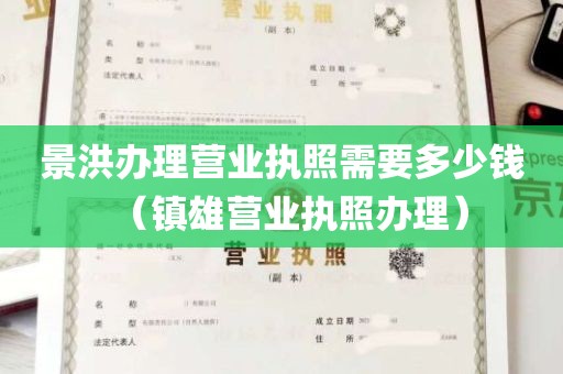 景洪办理营业执照需要多少钱（镇雄营业执照办理）