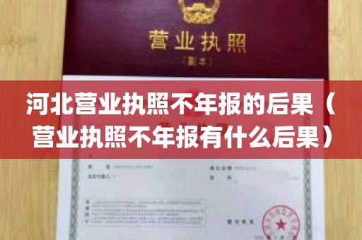 河北营业执照不年报的后果（营业执照不年报有什么后果）