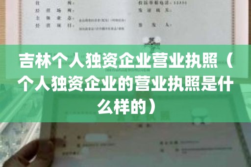 吉林个人独资企业营业执照（个人独资企业的营业执照是什么样的）