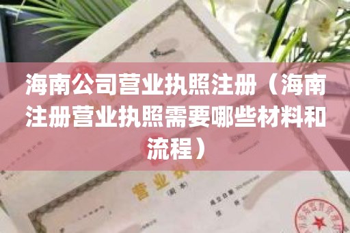 海南公司营业执照注册（海南注册营业执照需要哪些材料和流程）