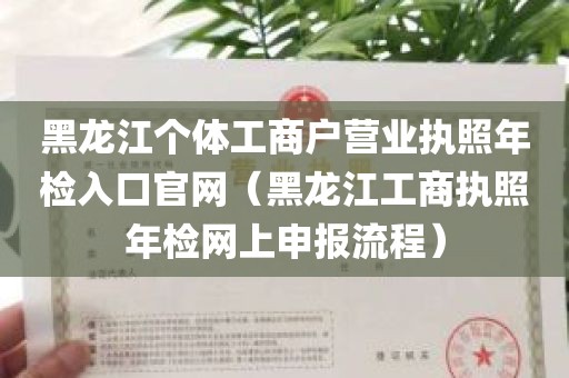 黑龙江个体工商户营业执照年检入口官网（黑龙江工商执照年检网上申报流程）