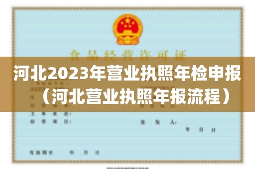 河北2023年营业执照年检申报（河北营业执照年报流程）