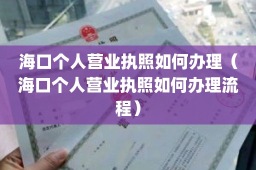 海口个人营业执照如何办理（海口个人营业执照如何办理流程）