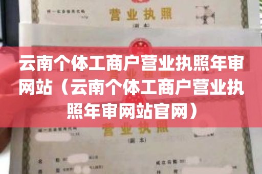 云南个体工商户营业执照年审网站（云南个体工商户营业执照年审网站官网）