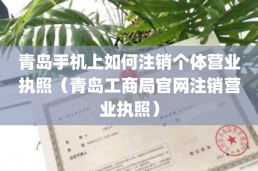 青岛手机上如何注销个体营业执照（青岛工商局官网注销营业执照）