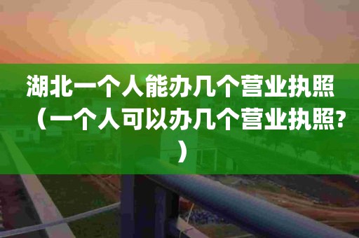 湖北一个人能办几个营业执照（一个人可以办几个营业执照?）