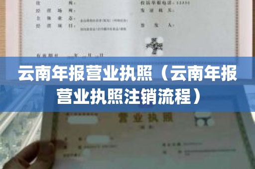 云南年报营业执照（云南年报营业执照注销流程）