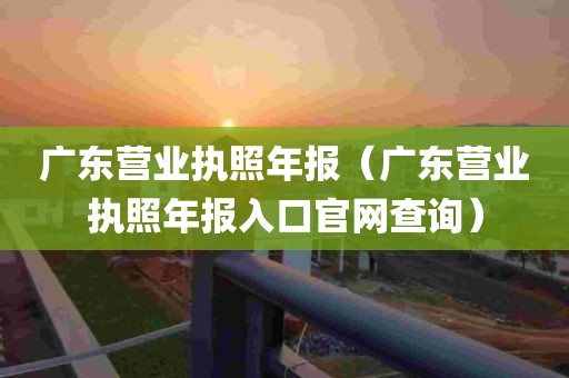 广东营业执照年报（广东营业执照年报入口官网查询）