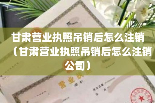 甘肃营业执照吊销后怎么注销（甘肃营业执照吊销后怎么注销公司）