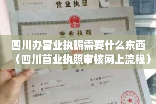 四川办营业执照需要什么东西（四川营业执照审核网上流程）