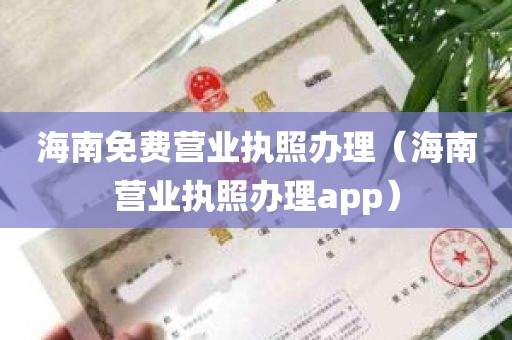 海南免费营业执照办理（海南营业执照办理app）