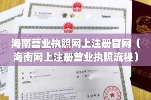 海南营业执照网上注册官网（海南网上注册营业执照流程）