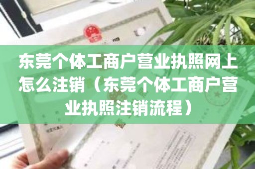 东莞个体工商户营业执照网上怎么注销（东莞个体工商户营业执照注销流程）