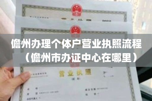 儋州办理个体户营业执照流程（儋州市办证中心在哪里）