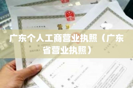 广东个人工商营业执照（广东省营业执照）