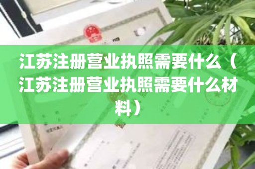 江苏注册营业执照需要什么（江苏注册营业执照需要什么材料）