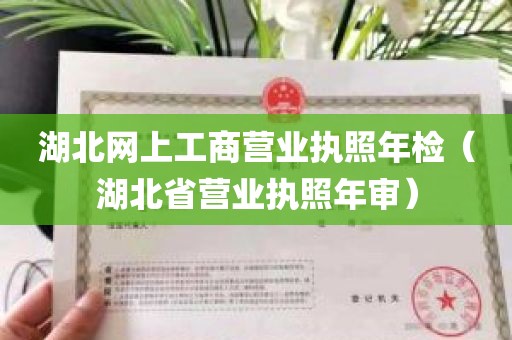 湖北网上工商营业执照年检（湖北省营业执照年审）