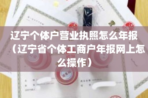 辽宁个体户营业执照怎么年报（辽宁省个体工商户年报网上怎么操作）