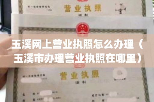 玉溪网上营业执照怎么办理（玉溪市办理营业执照在哪里）