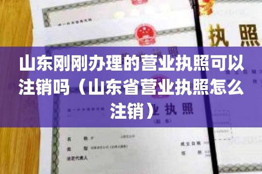 山东刚刚办理的营业执照可以注销吗（山东省营业执照怎么注销）