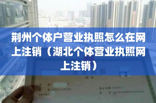 荆州个体户营业执照怎么在网上注销（湖北个体营业执照网上注销）