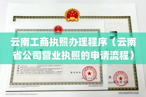 云南工商执照办理程序（云南省公司营业执照的申请流程）