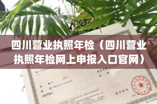 四川营业执照年检（四川营业执照年检网上申报入口官网）