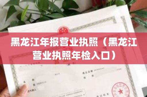 黑龙江年报营业执照（黑龙江营业执照年检入口）