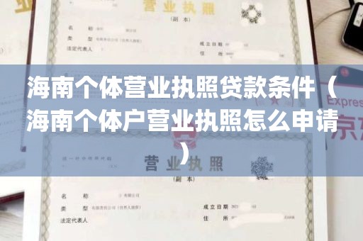 海南个体营业执照贷款条件（海南个体户营业执照怎么申请）