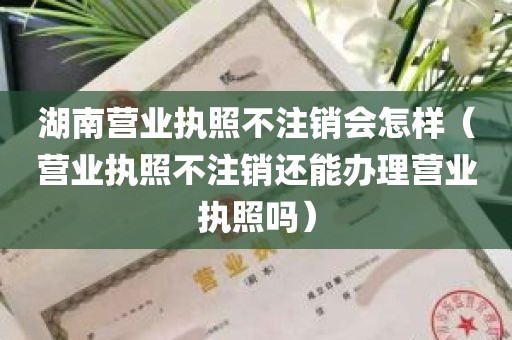 湖南营业执照不注销会怎样（营业执照不注销还能办理营业执照吗）