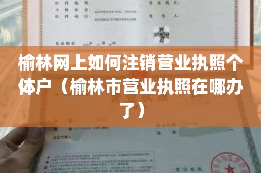 榆林网上如何注销营业执照个体户（榆林市营业执照在哪办了）