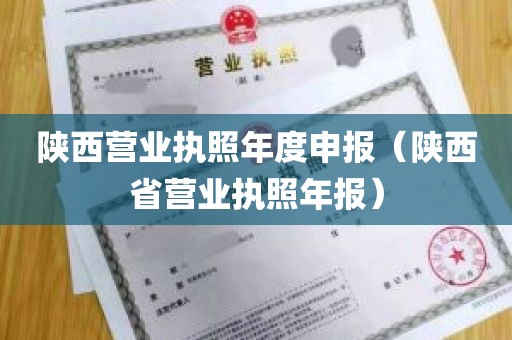 陕西营业执照年度申报（陕西省营业执照年报）